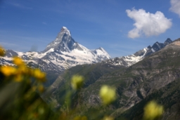 Paysages/Nature/Oiseaux/Rapaces
