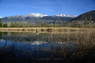 l'Etang