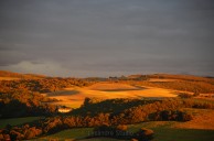 Languedoc