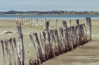 fence