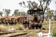 train