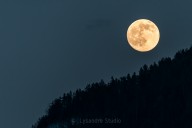 Lune