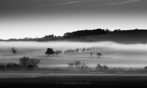 mist