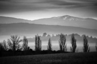 mist