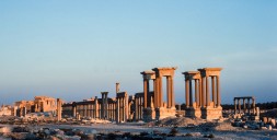 Palmyra