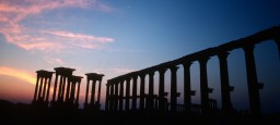 Palmyra