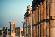 Palmyra