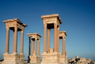 Palmyra