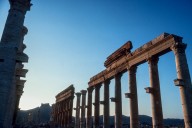 Palmyra