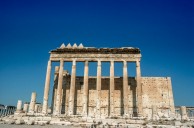 Palmyra