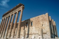 Palmyra