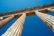 Palmyra
