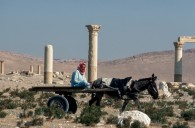 Palmyra