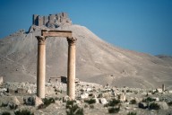 Palmyra