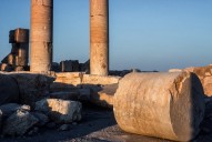 Palmyra