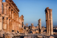 Palmyra
