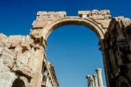Palmyra