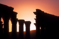 Palmyra