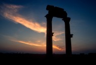 Palmyra