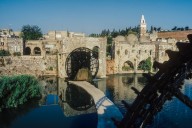 Hama
