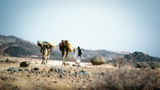 Aïr Niger