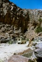 Hoggar