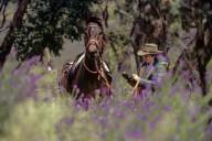 Flinders range