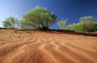 outback