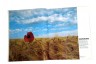 competition Agfa-Gevaert / Photography